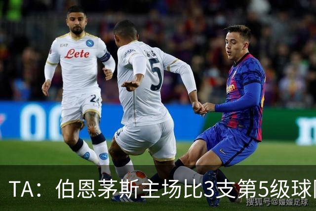 TA：伯恩茅斯主场比3支第5级球队还小，伊劳拉如今的压力远超从前